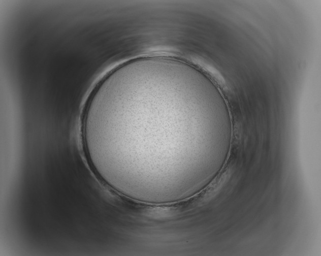 X0000101991470200807251216