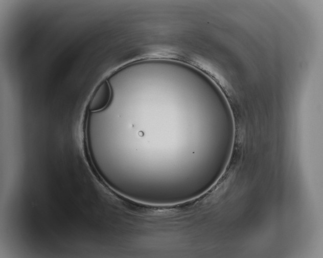 X0000101991471200807251216