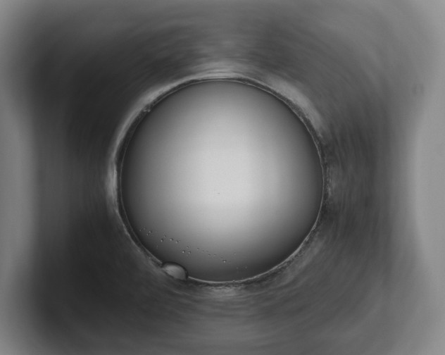 X0000101991472200807251216