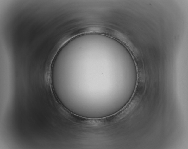 X0000101991473200807251216