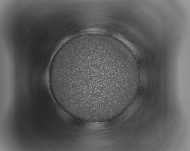 X0000101991474200807251216