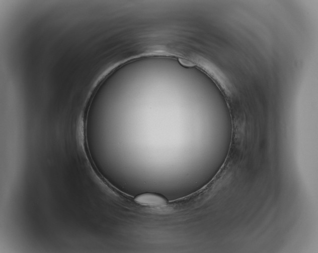 X0000101991476200807251216