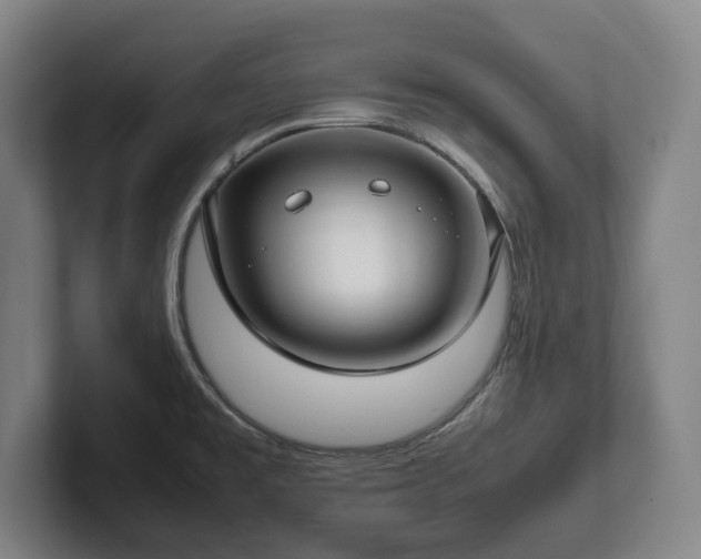 X0000101991477200807251216