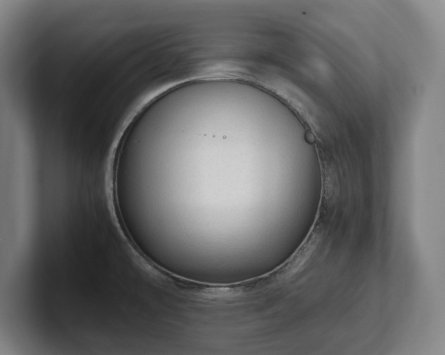 X0000101991478200807251216