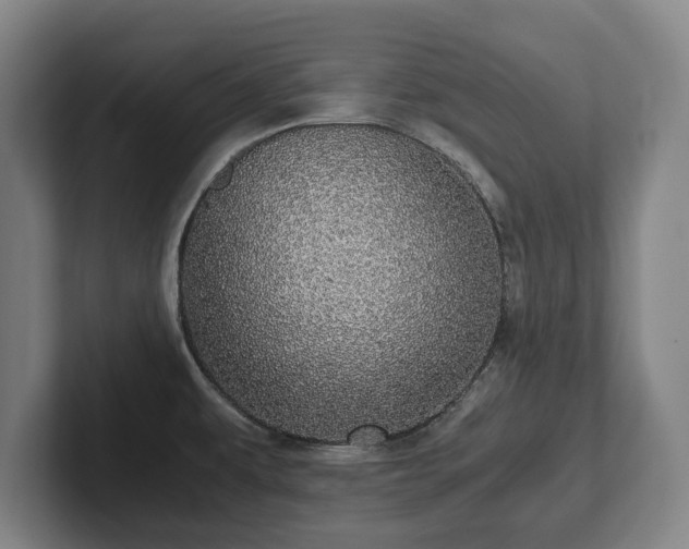 X0000101991479200807251216