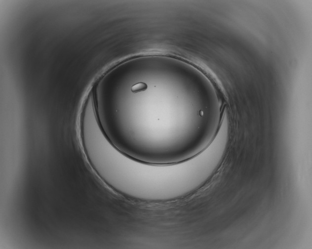 X0000101991480200807251216