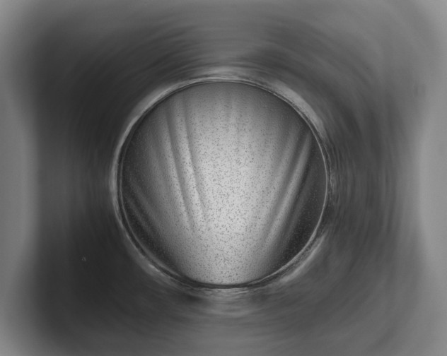 X0000101991482200807251216