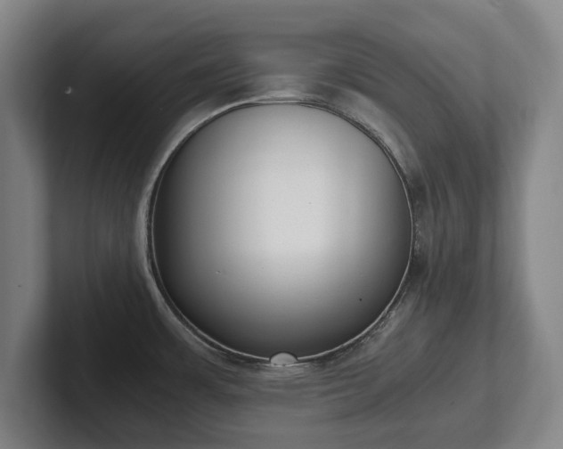 X0000101991483200807251216