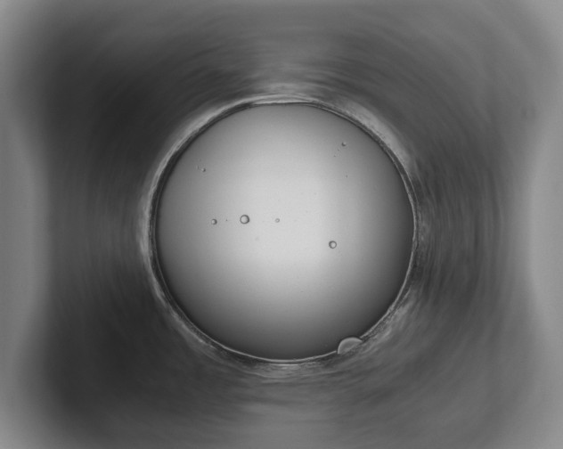 X0000101991485200807251216