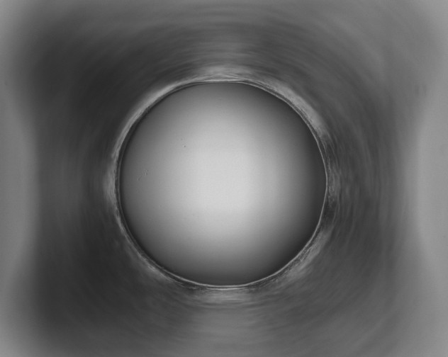 X0000101991486200807251216