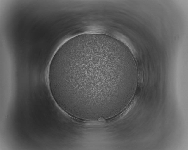 X0000101991487200807251216