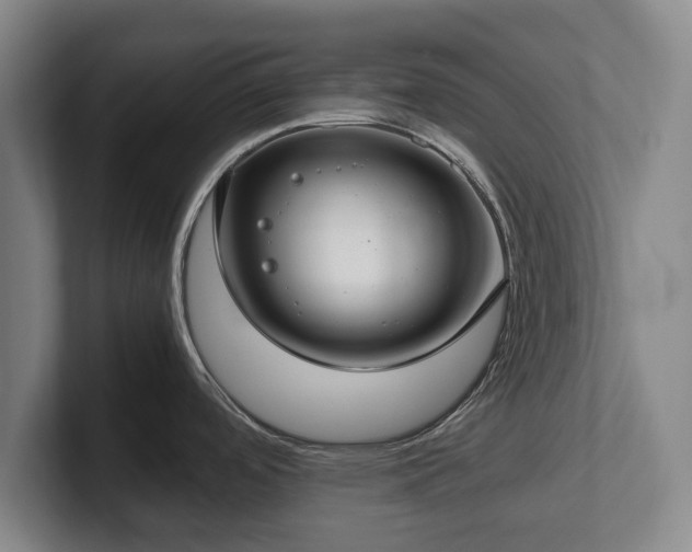 X0000101991488200807251216