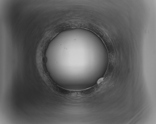 X0000101991489200807251215