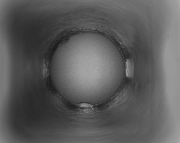 X0000101991491200807251215