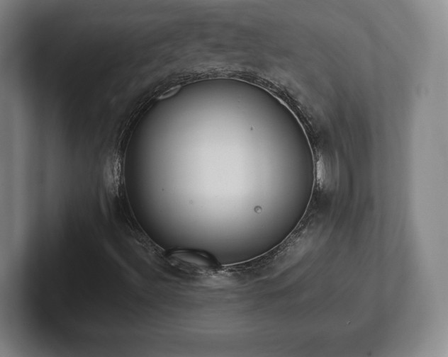 X0000101991492200807251215