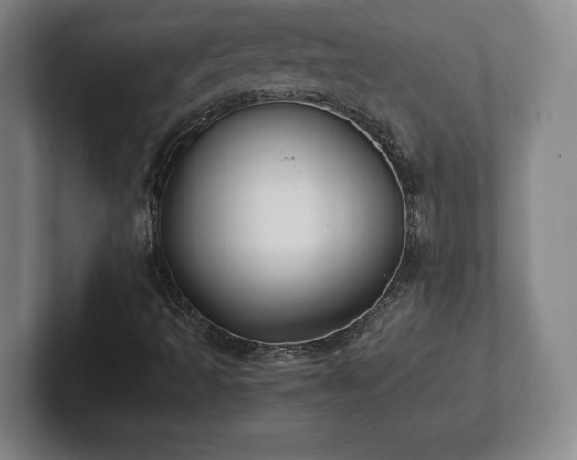 X0000101991493200807251215