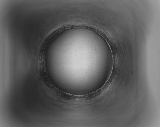 X0000101991494200807251215