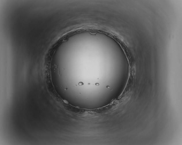 X0000101991496200807251215