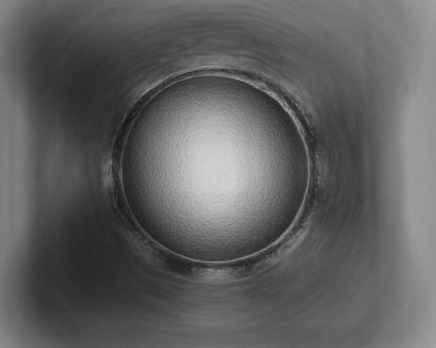 X0000101991497200807251215