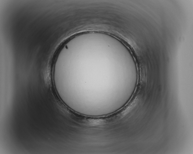 X0000101991498200807251215