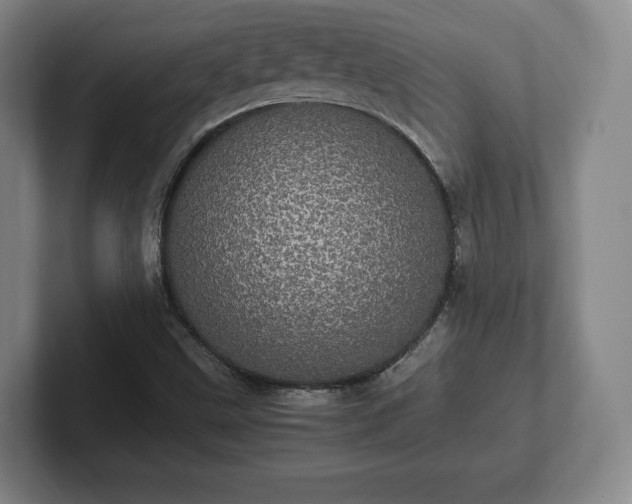X0000101991499200807251215