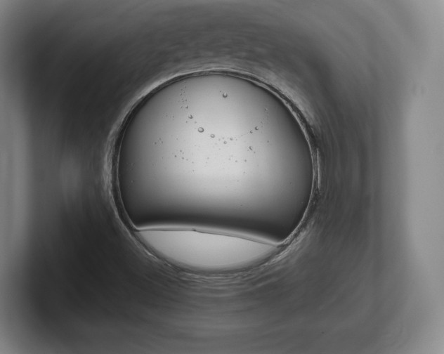 X0000101991500200807251215