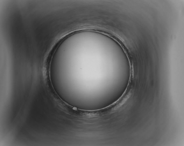 X0000101991501200807251215