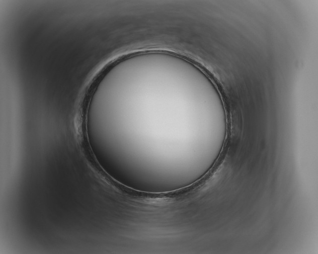 X0000101991502200807251215