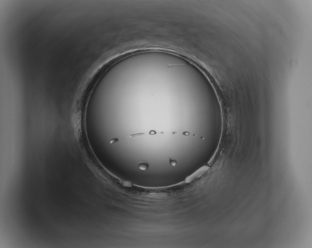 X0000101991503200807251215