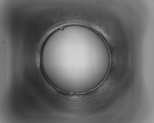 X0000101991504200807251215