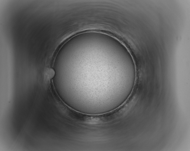 X0000101991505200807251215