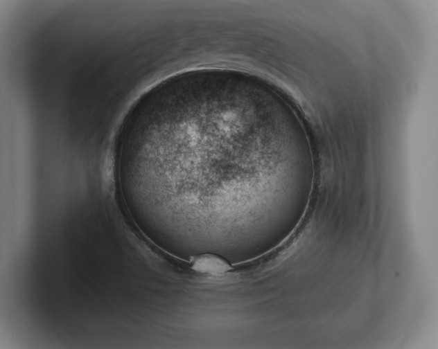 X0000101991506200807251215