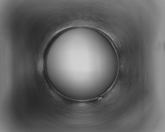 X0000101991507200807251215