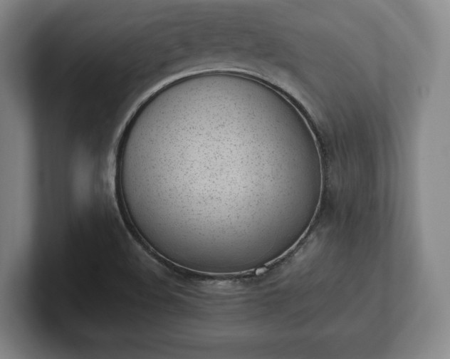 X0000101991508200807251215