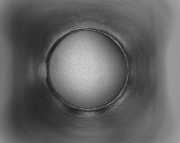 X0000101991509200807251215
