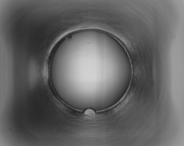 X0000101991510200807251215