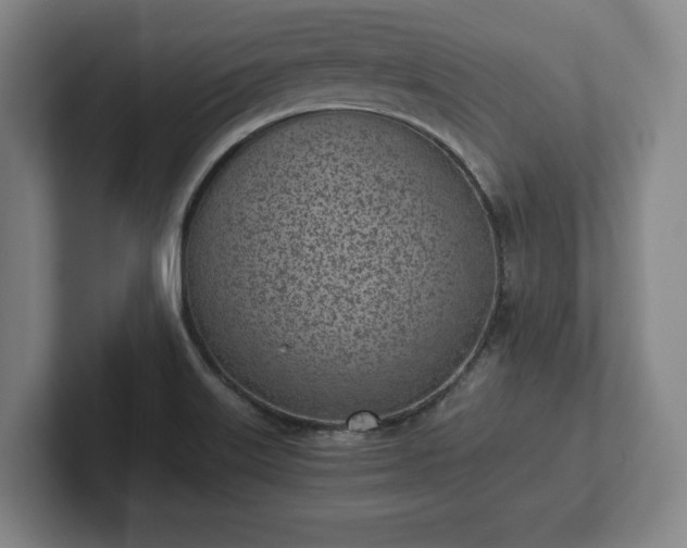 X0000101991515200807251215