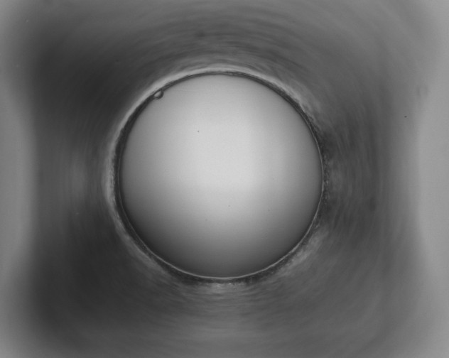 X0000101991518200807251216