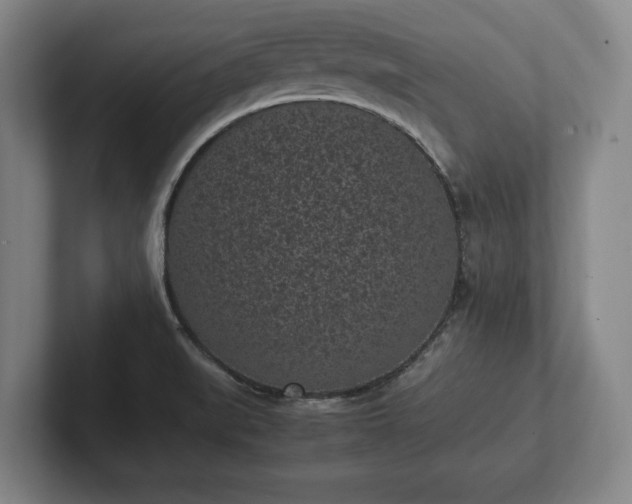 X0000101991519200807251216