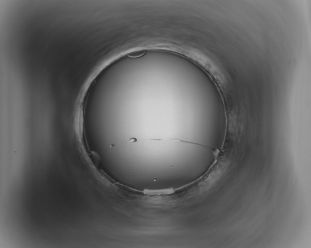 X0000101991520200807251216