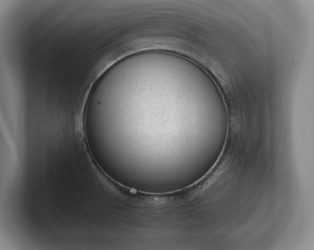 X0000101991521200807251216