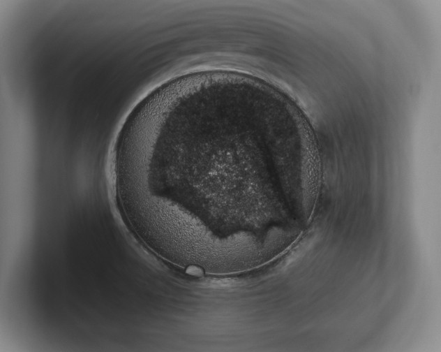 X0000101991522200807251216