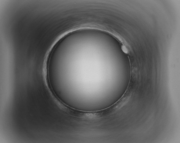 X0000101991523200807251216