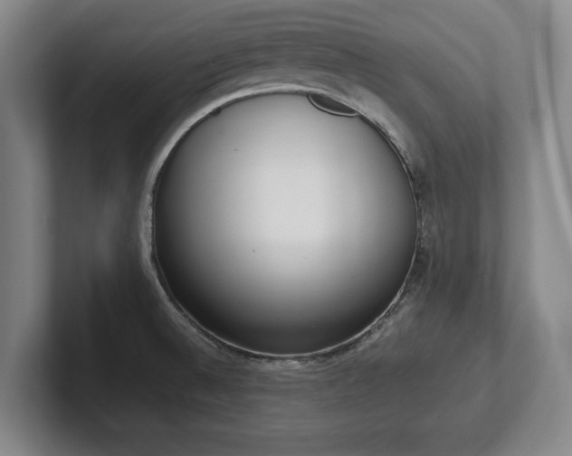 X0000101991524200807251216