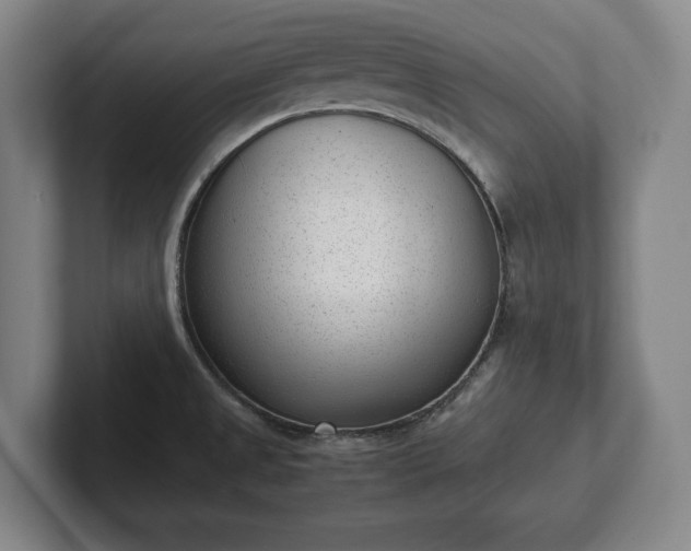 X0000101991525200807251216