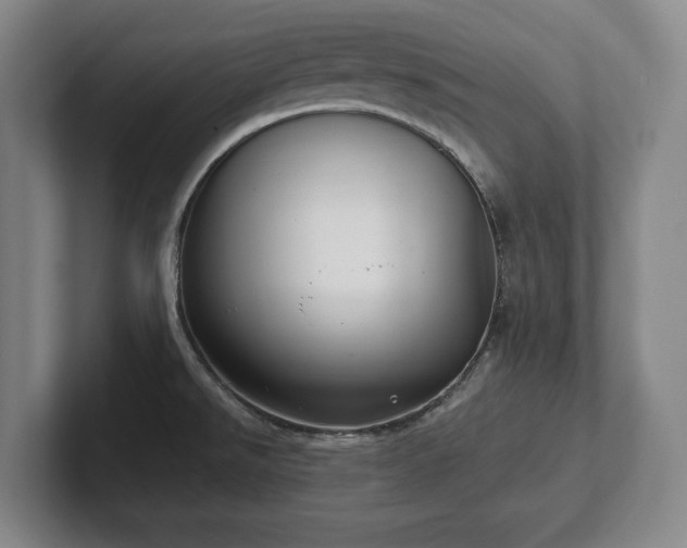 X0000101991526200807251216