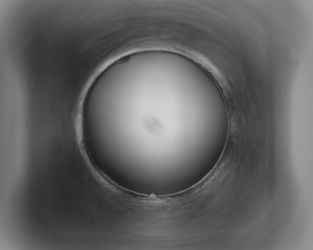 X0000101991528200807251216