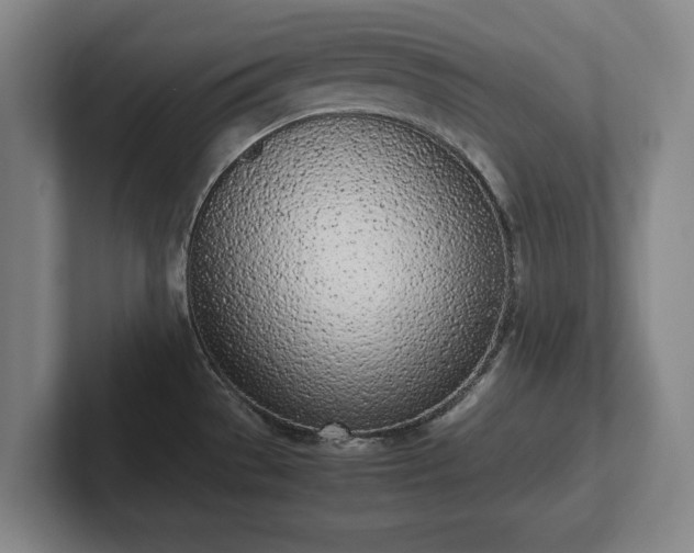 X0000101991529200807251216