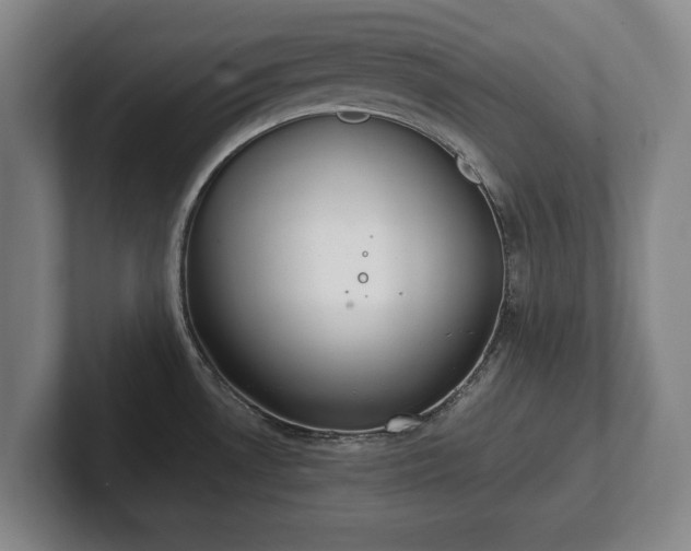 X0000101991530200807251216