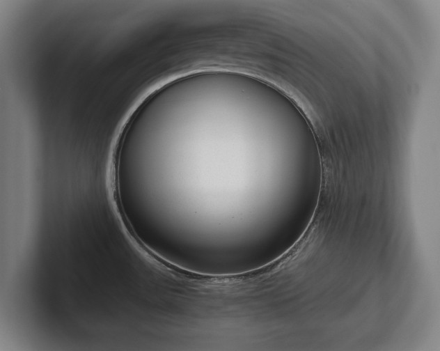 X0000101991531200807251216